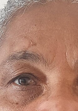 Alternativas Felizes Para Quando o Sol Não Vem (2020) Alternativas Felizes Para Quando o Sol Não Vem (2020)