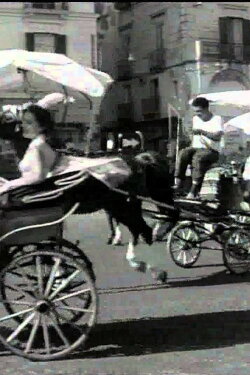 Amalfi Way (1955) Amalfi Way (1955)