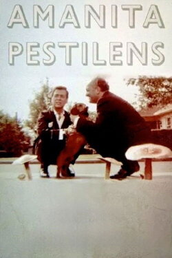 Amanita Pestilens (1973) Amanita Pestilens (1973)