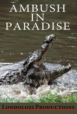 Ambush in Paradise (1999) Ambush in Paradise (1999)