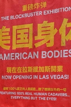 American Bodies (2019) American Bodies (2019)