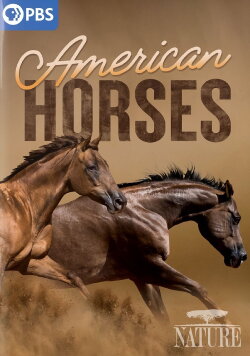 American Horses (2022) American Horses (2022)