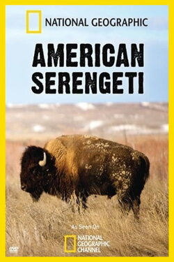American Serengeti (2010) American Serengeti (2010)