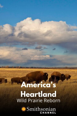 America's Heartland: Wild Prairie Reborn (2021) America's Heartland: Wild Prairie Reborn (2021)