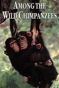 Among the Wild Chimpanzees (1984) Among the Wild Chimpanzees (1984)