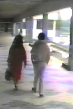 Amor sem Recompensa (1987) Amor sem Recompensa (1987)