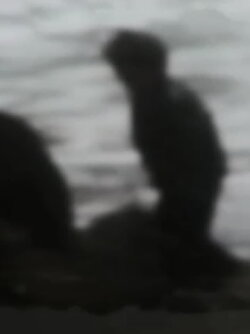 Amphësis (2011) Amphësis (2011)