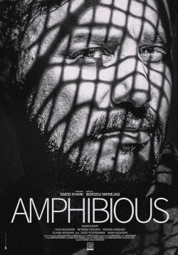 Amphibious (2020)