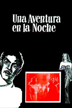 An Adventure in the Night (1948)