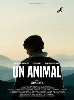 An Animal (2024) An Animal (2024)