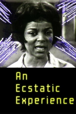 An Ecstatic Experience (2015) An Ecstatic Experience (2015)