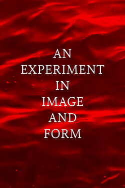 An Experiment in Image and Form (2024) An Experiment in Image and Form (2024)