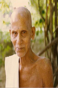 An Interview with Annamalai Swami by Jim Lemkin (1993) An Interview with Annamalai Swami by Jim Lemkin (1993)