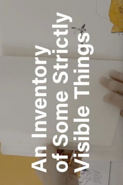 An Inventory of Some Strictly Visible Things (2017) An Inventory of Some Strictly Visible Things (2017)
