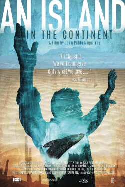 An Island in the Continent (2020) An Island in the Continent (2020)