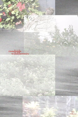 an ode to chris helzer's field guide to roadside wildflowers at full speed (2022) an ode to chris helzer's field guide to roadside wildflowers at full speed (2022)
