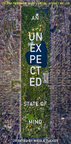 An Unexpected State of Mind (2019) An Unexpected State of Mind (2019)