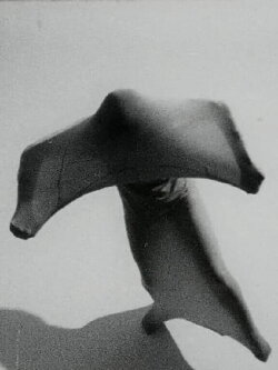 Ana Kamien (1970) Ana Kamien (1970)