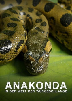 Anaconda: Silent Killer (2014) Anaconda: Silent Killer (2014)