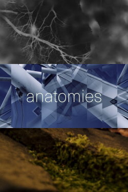 anatomies (2021)