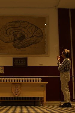 Anatomy of Hypomania (2022) Anatomy of Hypomania (2022)