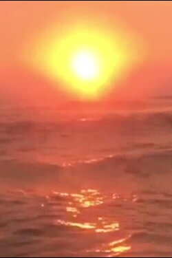 And the Seas Bring Forth New Lands (2019) And the Seas Bring Forth New Lands (2019)