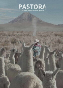 Andean Sheperdess (2016)