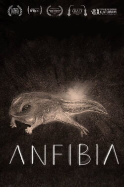 Anfibia (2020) Anfibia (2020)