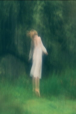 Angelus Novus (2016) Angelus Novus (2016)