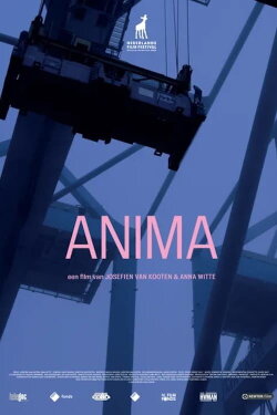 Anima (2024) Anima (2024)