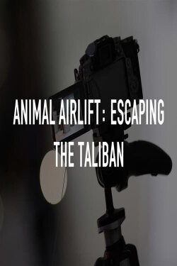 Animal Airlift: Escaping the Taliban (2022) Animal Airlift: Escaping the Taliban (2022)