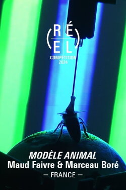 Animal Model (2024) Animal Model (2024)