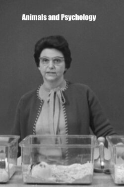 Animals and Psychology (1965)
