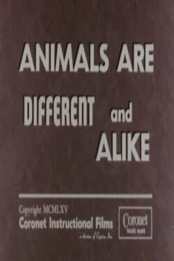 Animals Are Different and Alike (1965)