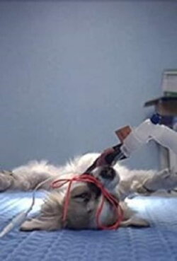 Animals Under Anaesthesia: Speculations on the Dreamlife of Beasts (2018) Animals Under Anaesthesia: Speculations on the Dreamlife of Beasts (2018)