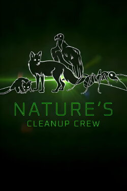 Nature's Cleanup Crew (2020) Nature's Cleanup Crew (2020)