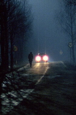 Anolit (2002) Anolit (2002)