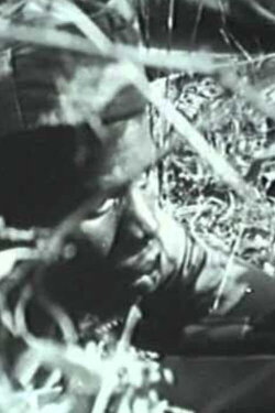 Anos de Guerra - Guiné 1963-1974 (2000) Anos de Guerra - Guiné 1963-1974 (2000)