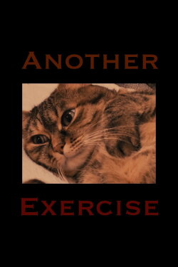 Another exercise (2024)