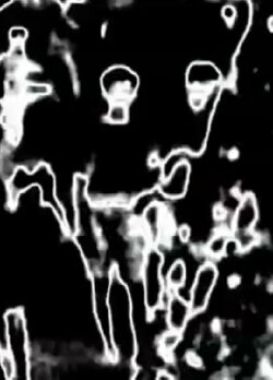 Another Occupation (2011)
