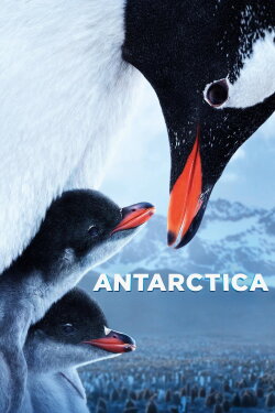 Antarctica (2020) Antarctica (2020)