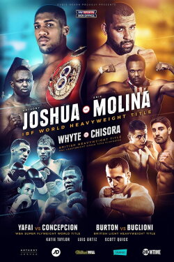 Anthony Joshua vs. Eric Molina (2016) Anthony Joshua vs. Eric Molina (2016)