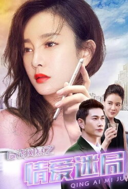 Anti-Fraud Storm: Puzzle of Love (2017) Anti-Fraud Storm: Puzzle of Love (2017)