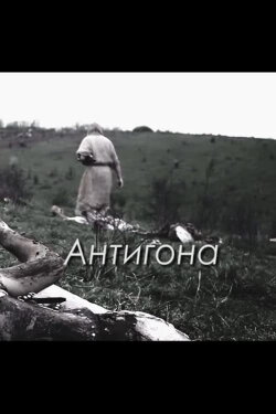 Antigone (2015)