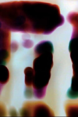 Antipode (2021) Antipode (2021)