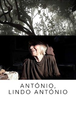 António, Dashing António (2016)