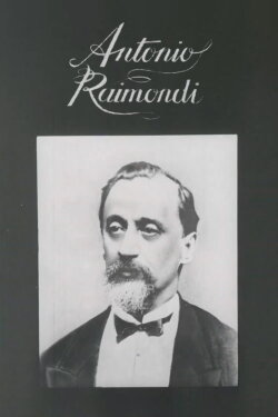 Antonio Raimondi (1977) Antonio Raimondi (1977)