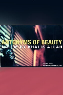 Antonyms of Beauty (2013)