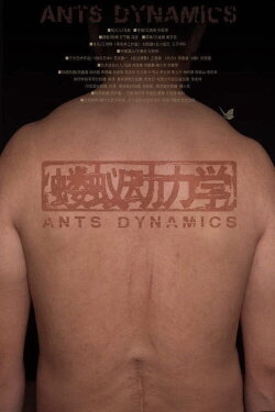 Ants Dynamics (2020)