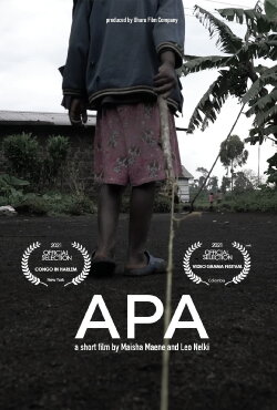 APA (2021)